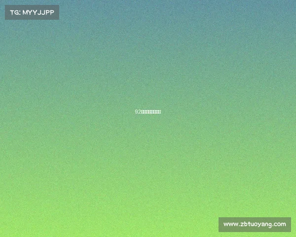 92年散打冠军朱永光