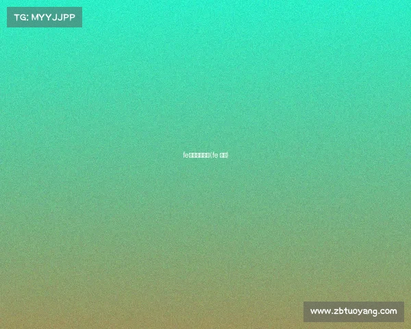 fe赛车赛事理念(fe 赛车)