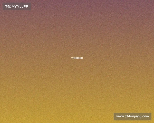 vr体育有哪些项目